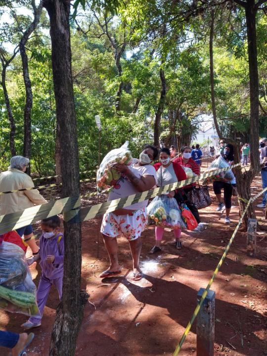 Foto 6 de 14 — AGORA: Distribuição de alimentos começa na Ceagesp para reduzir filas